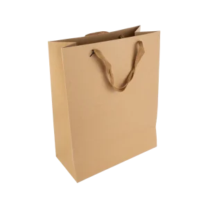 BOLSA CARTON GRUESO 23X18X10CM