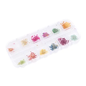 ACC. FLORES SECA CAJA/12 AMMI